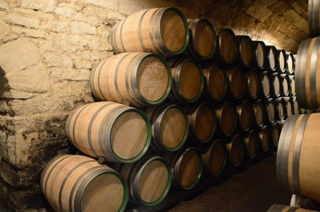 A lot of barrels inside a storage room in Marques de Riscal, Spain