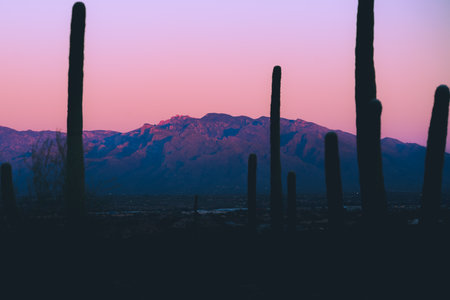 The beautiful sunset over Mount Lemmon in Tucson, Arizona!の写真素材