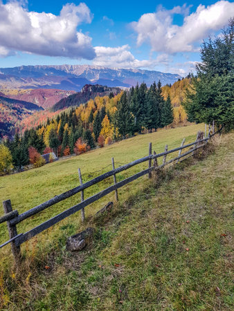 A beautiful view of dense trees and mountains in the backgroundの写真素材