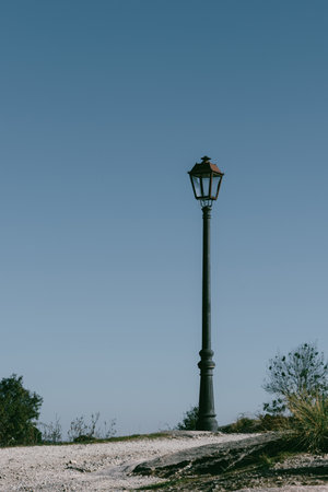 A vertical shot of a street lamp or lantern with a tall pole against the clear blue skyの写真素材