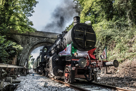 A steam train at a station surrounded by plantsの写真素材