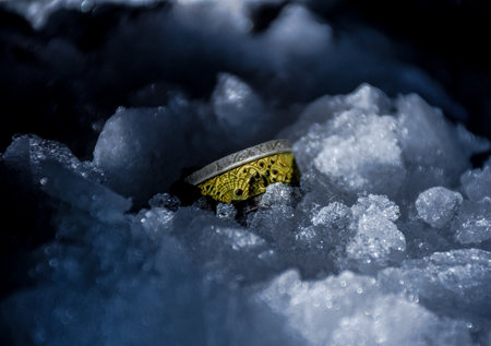A closeup shot of a precious ring on ice formationsの写真素材