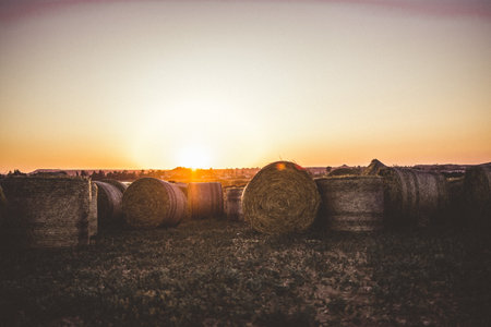 Some hay rolls in an agricultural field at sunsetの写真素材