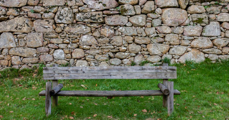The empty wooden bench in the parkの写真素材