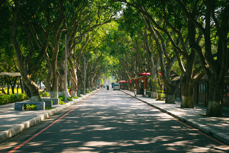A long trail through arched green trees in Douliu, Taiwanの写真素材