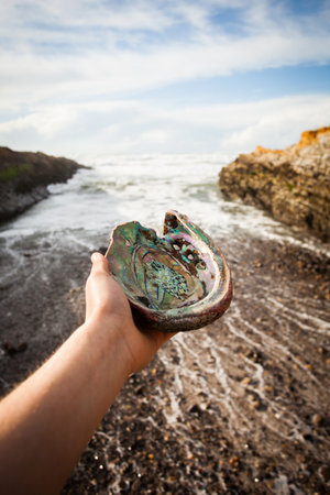 A vertical shot of a hand holding a beautiful abalone mollusk on a scenic cliffy shoreline  backgroundの写真素材
