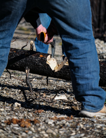 A vertical shot of a Caucasian male chopping a fallen tree trunk with an ax