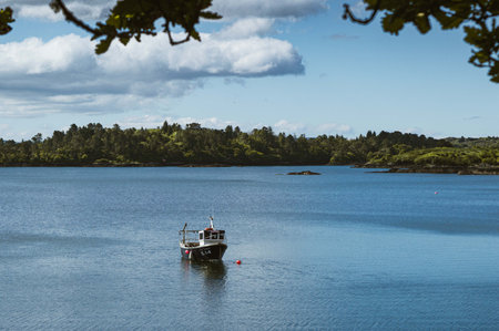 A boat sailing on the lake in the morningの写真素材