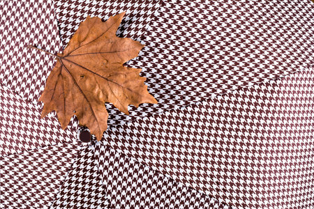 A dry maple leaf on an umbrella