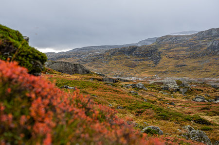 A beautiful view of a range in the mountains in Norwayの写真素材