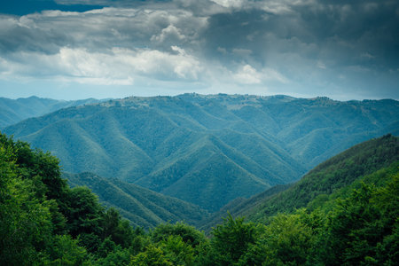 An aerial view of a landscape of green trees on the Romanian hills