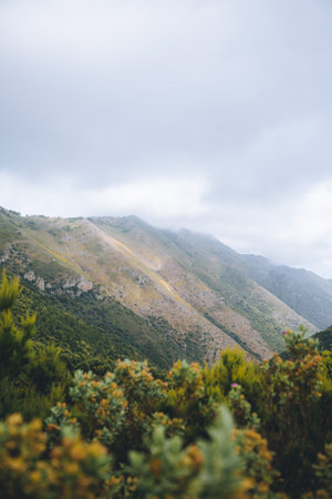 A vertical view of green hills and cliffs from a parkの写真素材