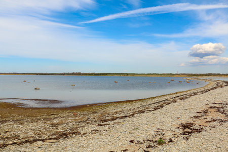 A sandy beach on a sunny day in  Vosu, Estoniaの写真素材