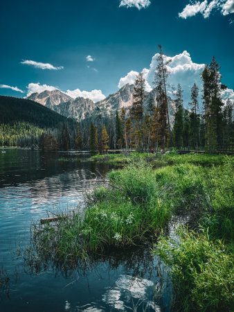 A vertical shot of a lake surrounded by trees and mountainsの写真素材