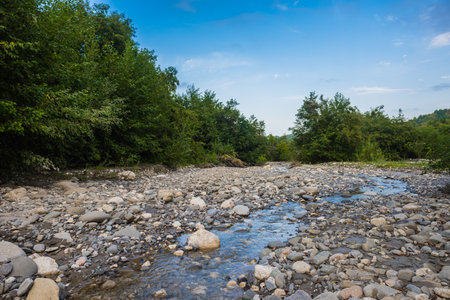 A stony creek in wilderness