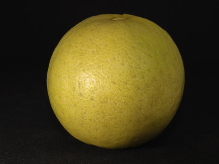 A closeup of a Yellow round lemon on a black background