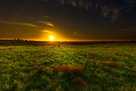 A beautiful view of a grassy field at sunset
