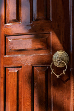 A vertical shot of a closed wooden door with an old antique door knocker under the sunlightの写真素材