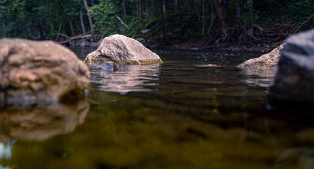 A low angle selective focus of rocks in a river at the forestの写真素材