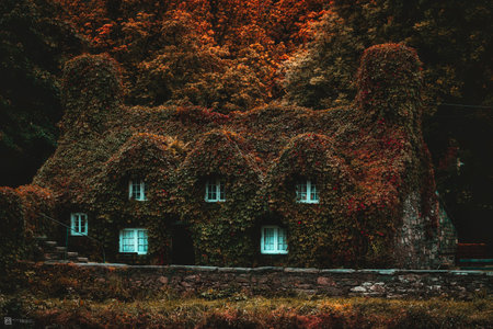 The view of the house covered with dense foliage.