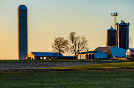A horizontal shot of Industrial buildings on the farm in the evening.の写真素材