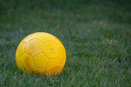 A closeup of a vibrant yellow soccer ball on lush greenの写真素材