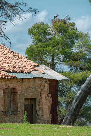 A tranquil scenery of an old rural house with damaged tile roof in the countrysideの写真素材