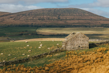 A beautiful view of hay meadow with high tills against a cloudy bluesunny skyの写真素材
