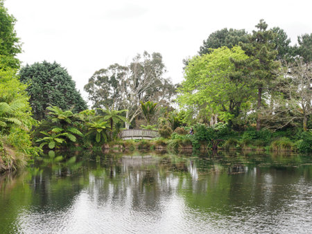 Auckland Botanic Garden's Upper Lake. View of trees reflecting in water.の写真素材