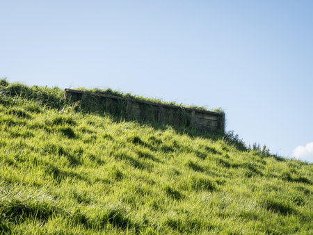 The beautiful shot of the green fieldの写真素材
