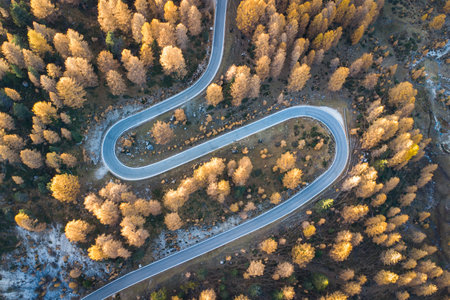 Spectacular aerial view of awinding and curvy road in the italian Dolomites during beautiful golden autumnの写真素材