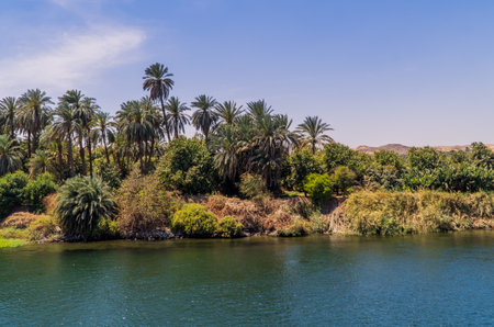 A beautiful shot of a ship on the water surrounded by palms in the daytime.