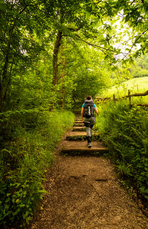 A young woman in hiking clothes on a hiking tripの写真素材