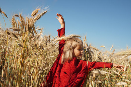 Little child in red muslin dress playing in rye on a sunny summer day.の写真素材