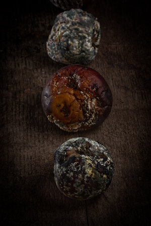 A vertical shot of rotten apples with mold on them on a wooden surfaceの写真素材