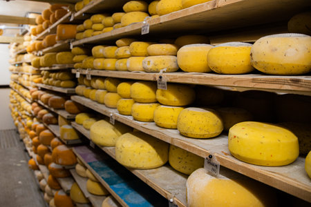 The stack of raw cheese on the shelvesの写真素材