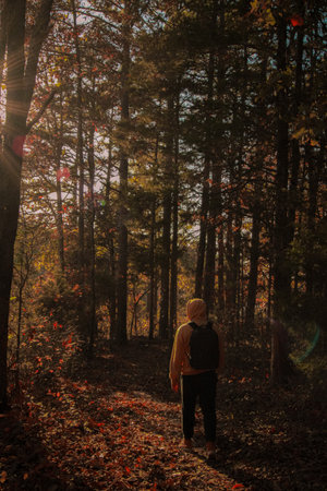 A man trekking in the woods during fallの写真素材