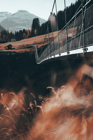 A vertical shot of the Tirol Suspension bridge in Holzgau Lechtal, Austria in moody colorsの写真素材