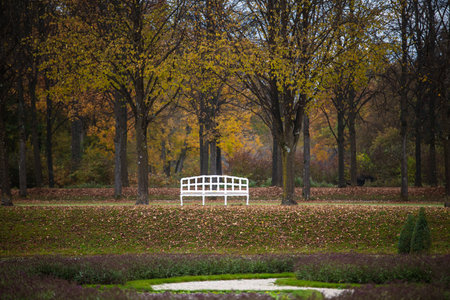 An empty white bench in a park in Munich, Germany in autumnの写真素材