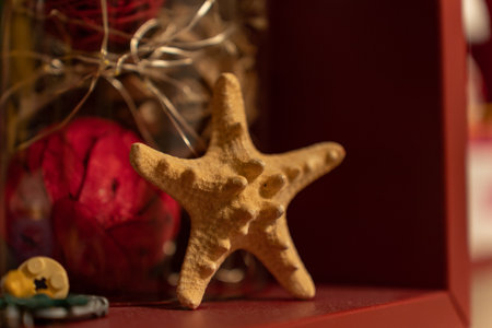 A closeup shot of a starの写真素材