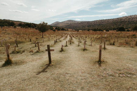 A large number of crosses stuck in the ground in Sad Hill Cemetery in the province of Burgos, Spain