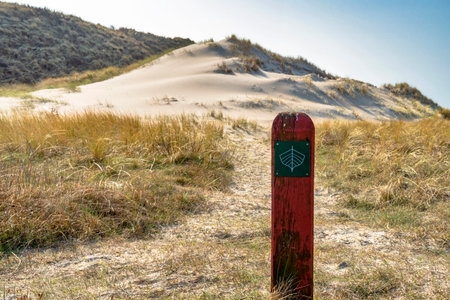 A signpost on the way to the North Sea beach in Denmarkの写真素材