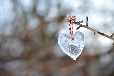 A close-up shot of a heart-shaped piece of ice hanging from a bare branch outdoorsの写真素材