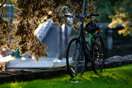 A bike parked near a pole in a city park