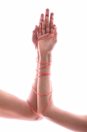 A male and female hands wrapped in red thread isolated on white, concept of desire and loveの写真素材