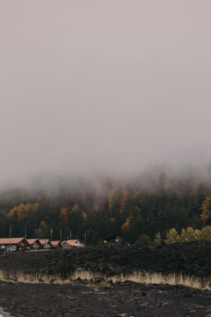 A vertical shot of foggy clouds over a mountainside forestの写真素材