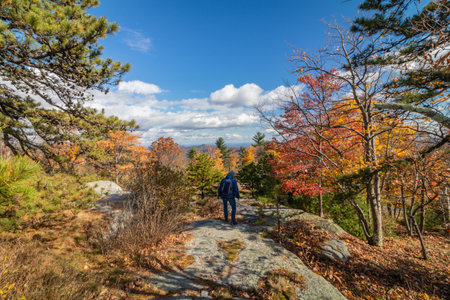 A scenic shot of a man standing on a stone surrounded by autumn trees in Minnewaska State Park, NY