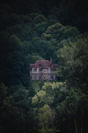 A beautiful view of an old house in the forest surrounded by big bushy treesの写真素材