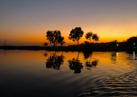 The beautiful view of a sunset on the shore with the silhouette of treesの写真素材