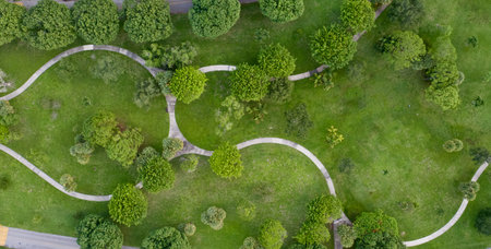 A beautiful aerial view of a grass pasture with green trees in a garden area